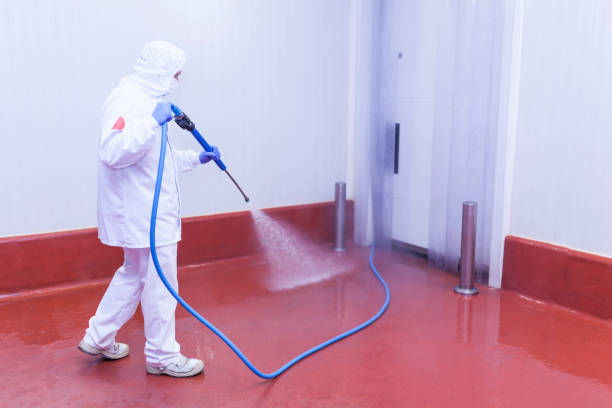 Best Roof Washing  in Hilton Head Island, SC